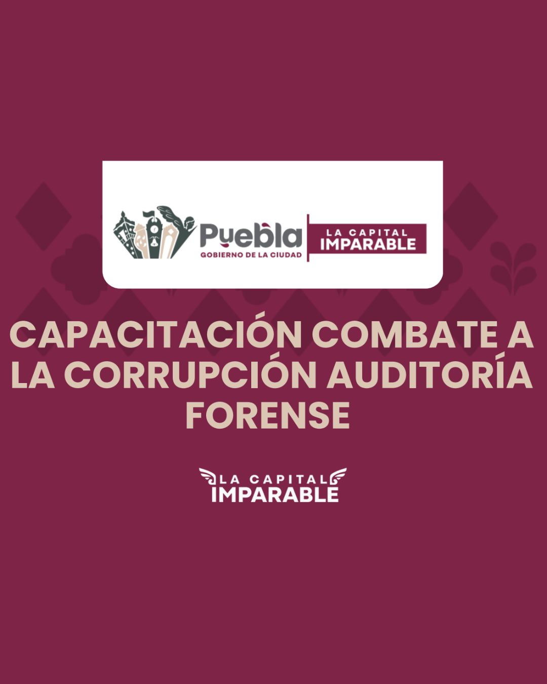 Capacitación Combate a la Corrupción Auditoría Forense